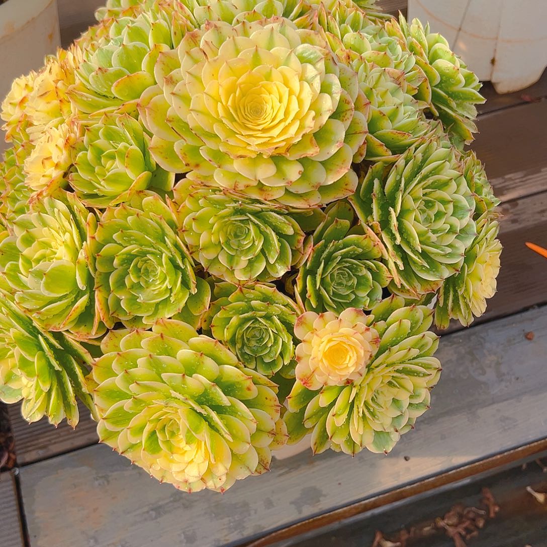 单***爹111111111111111111