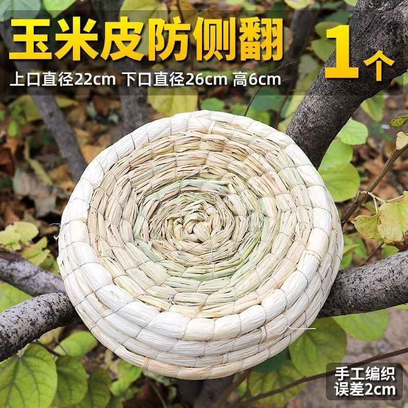 鸽子信鸽种鸽成绩鸽比赛鸽子肉鸽观赏鸽用品