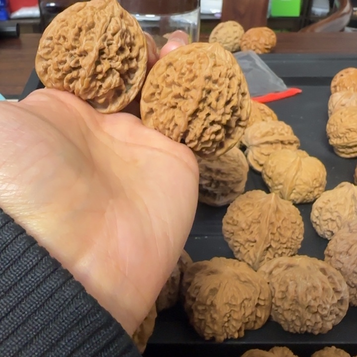 43满天星52g干就完了