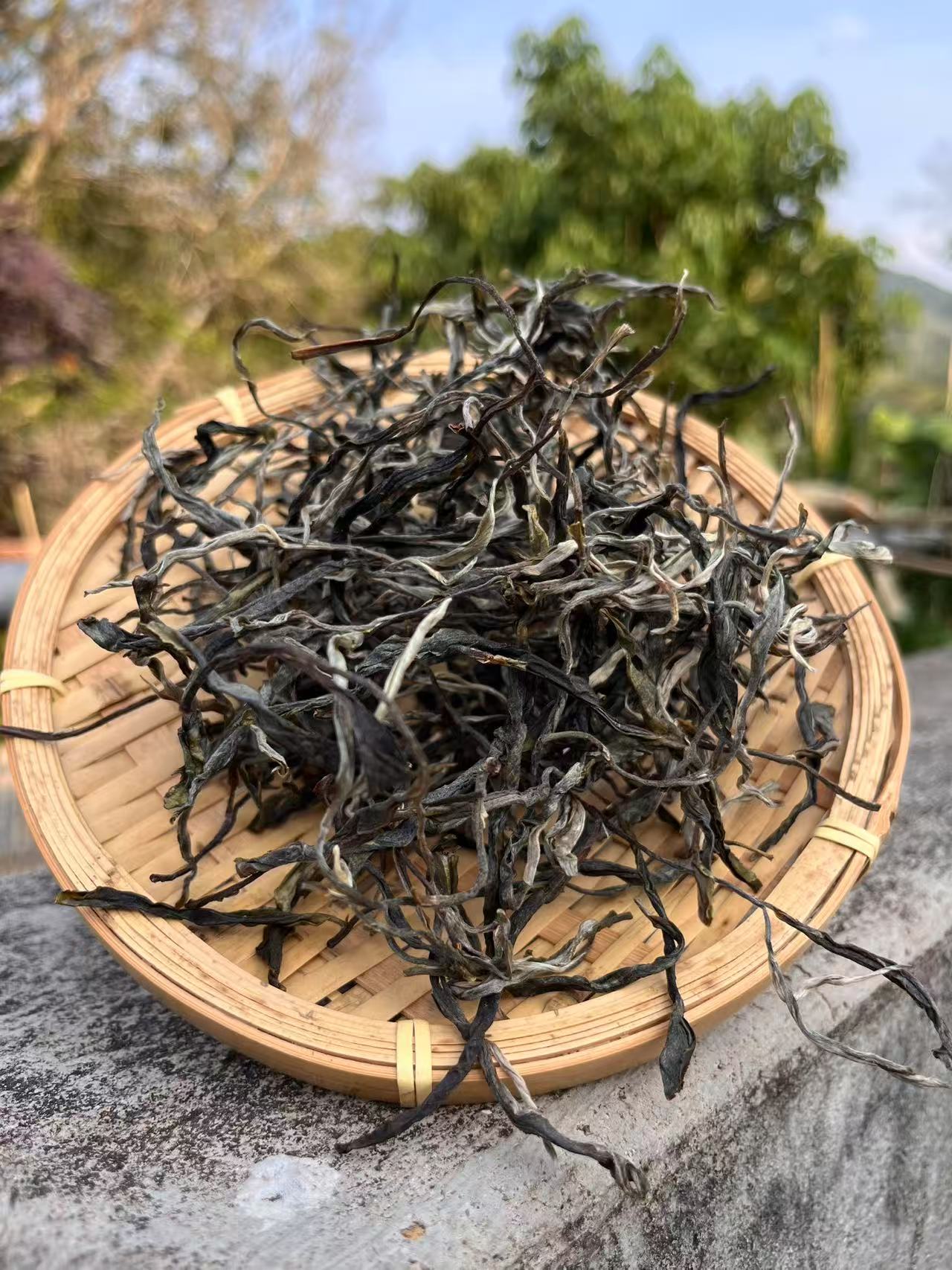 2025年猎虎山高杆头春散料50g（生茶）【刮风寨36号】