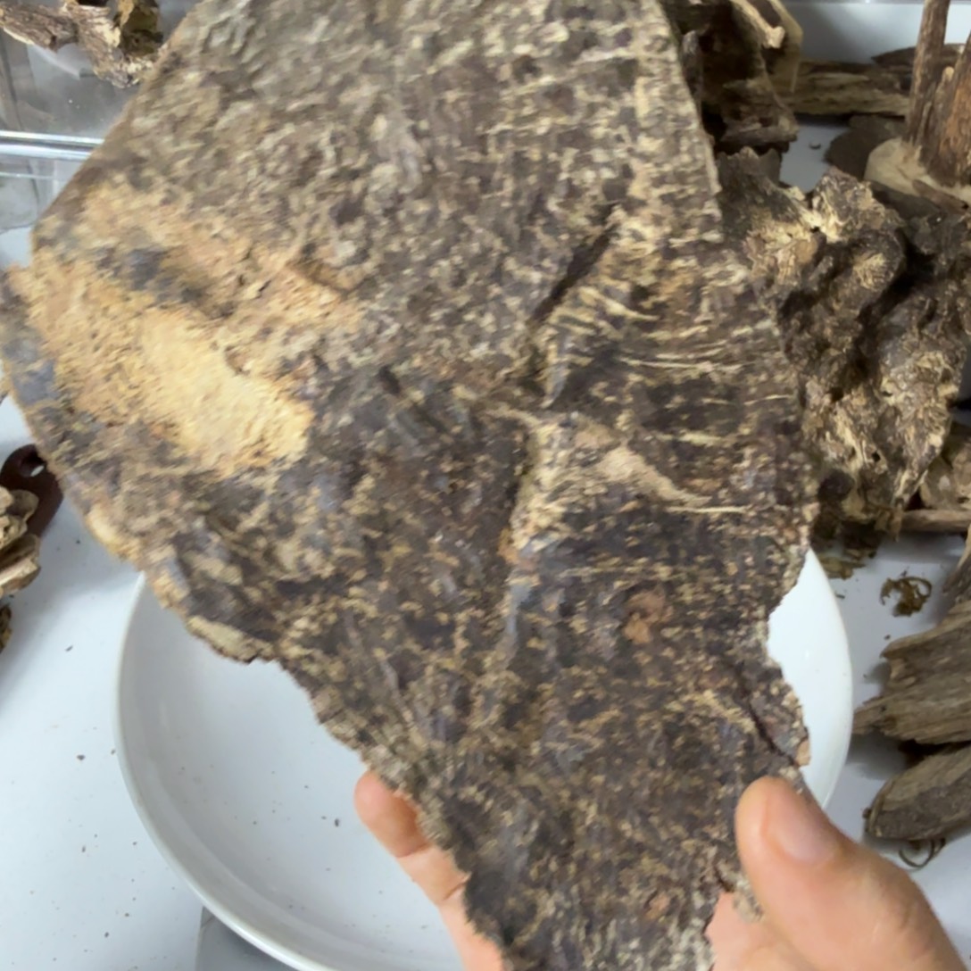 非***狼沉香沉香碎屑香港老顶20克