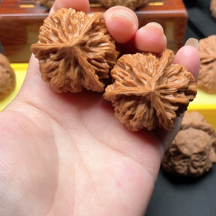 全品无修秦王三棱41/40/40