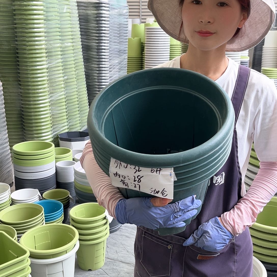 青山盆6#墨绿色5个无托