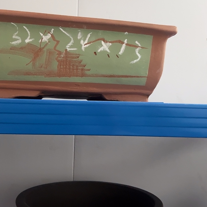 31绿马槽花盆花盆花盆