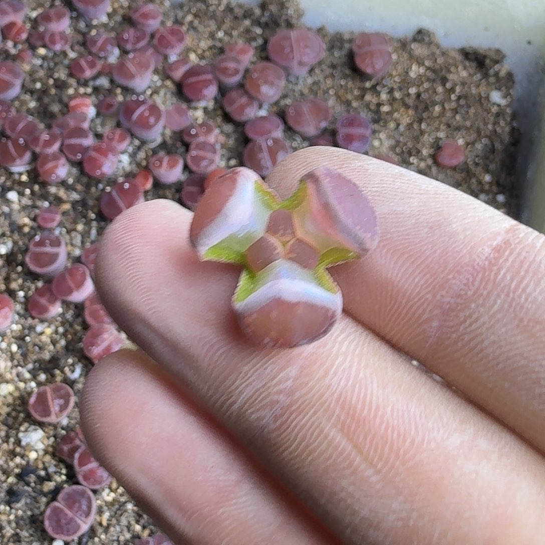 792 吧哈哈哈哈哈哈哈哈哈