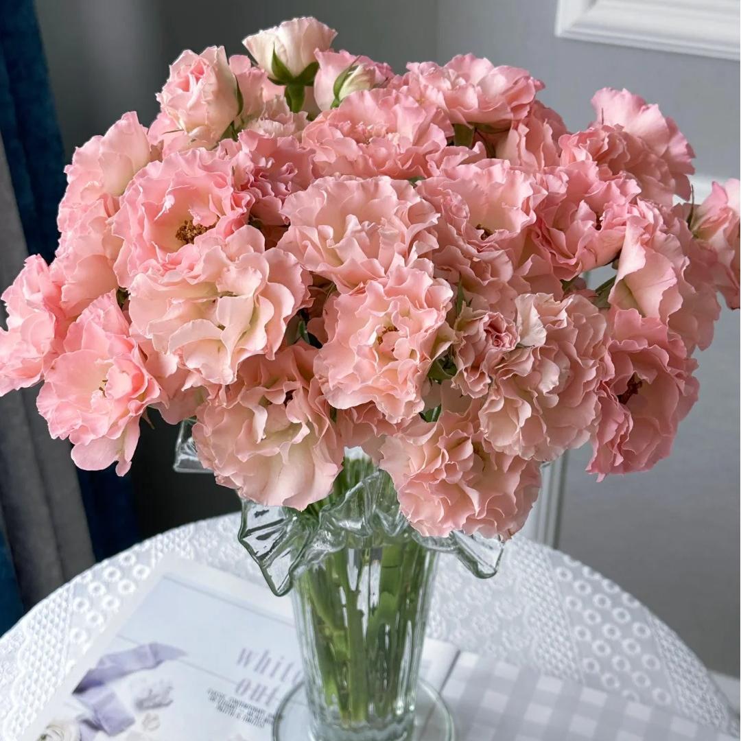 【人鱼公主玫瑰】斗南鲜花云南直发玫瑰鲜花两单京东冷链包邮