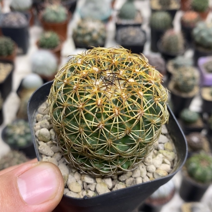 实生儒衣特价福利