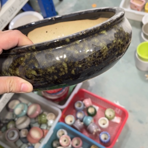 ［所有订单凑满15包邮］23×6