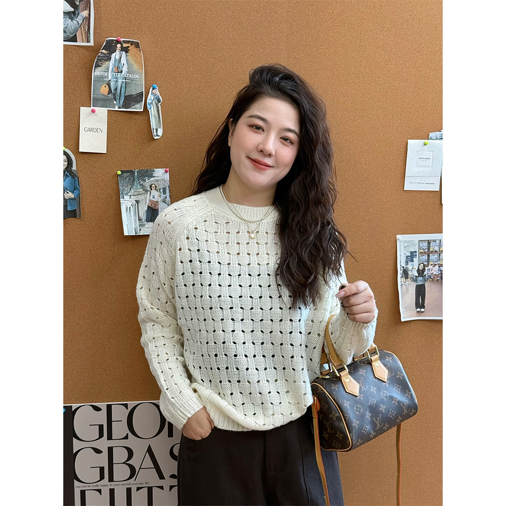 WenWen小个子高级感镂空针织衫2025秋新百搭显瘦减龄上衣4399版