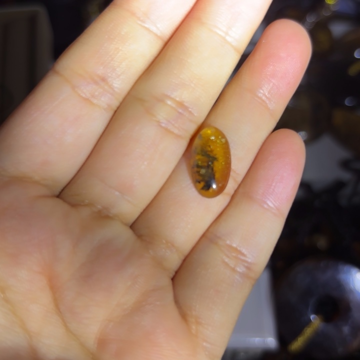 琥珀未镶嵌裸石植物界面