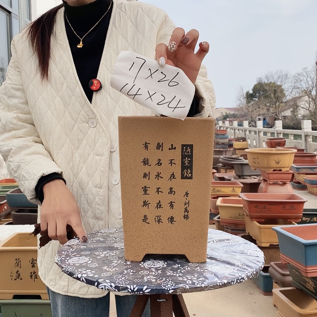 紫砂花盆紫砂花盆