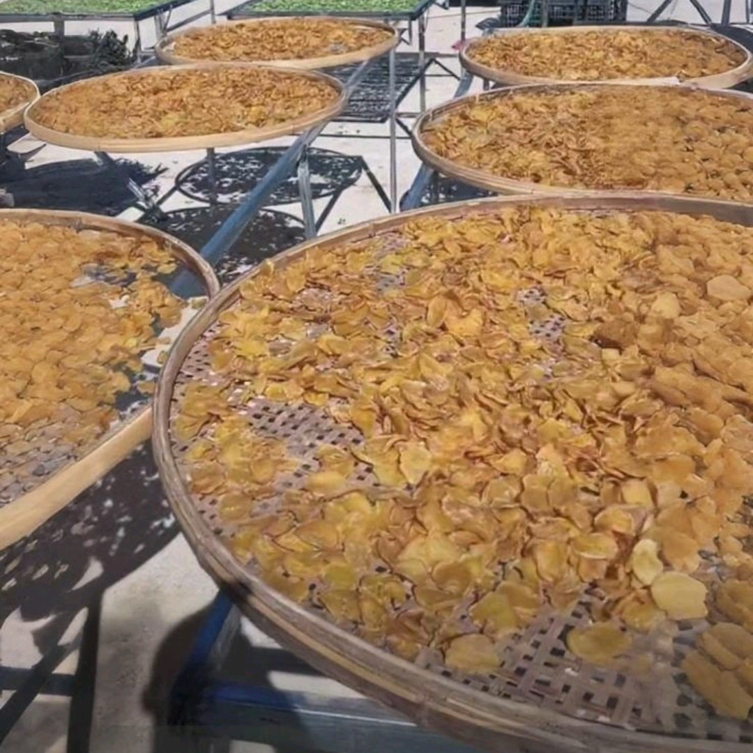 农家土豆干片东北特产新晾晒