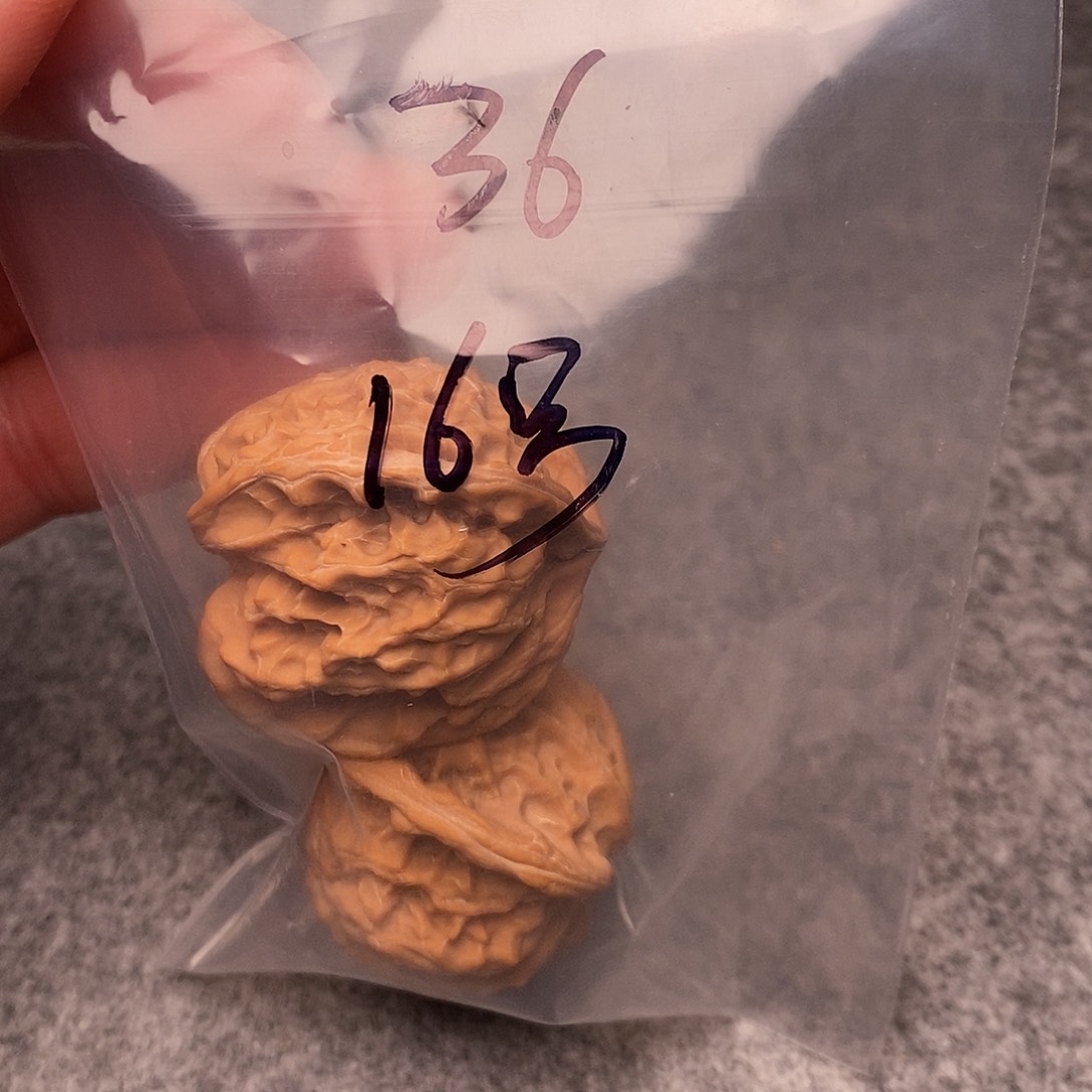 文玩核桃把件三棱