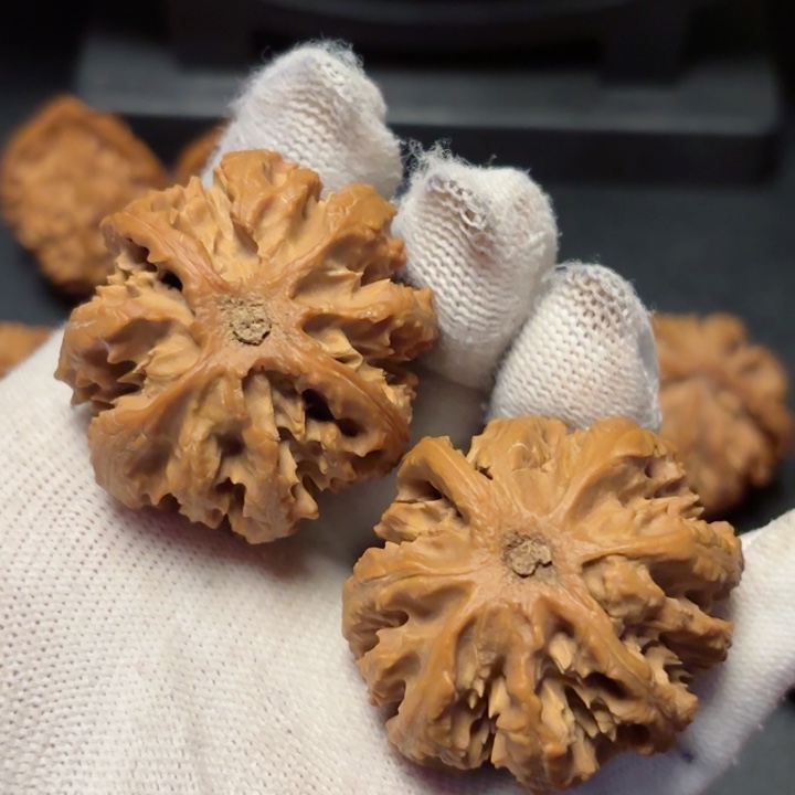 文玩核桃吊坠秦岭灯笼11