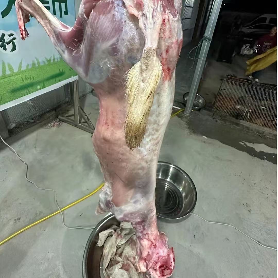【羊腿肉】农家散养小山羊按部位分割
