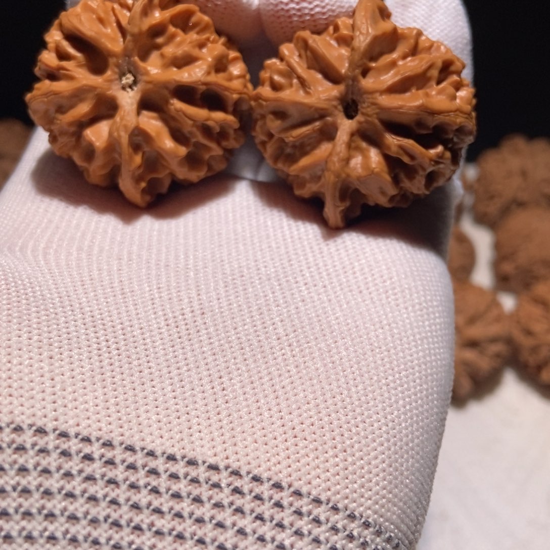 极品苹果园，39尺 