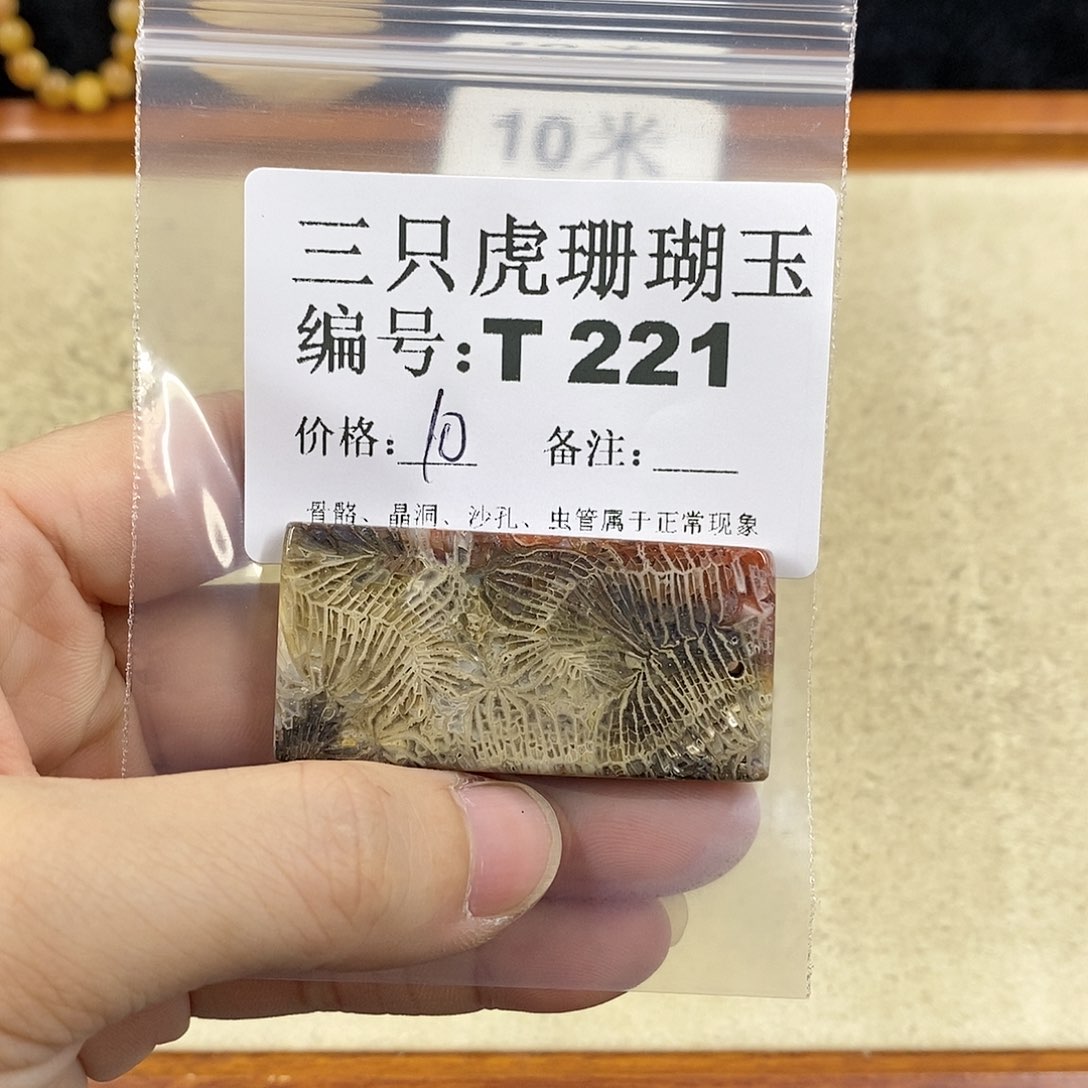 硅化珊瑚（珊瑚玉）1 未镶嵌樱**颊