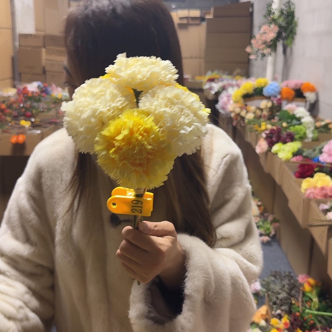 小***阳219号「闪购」仿真花，公主请下单
