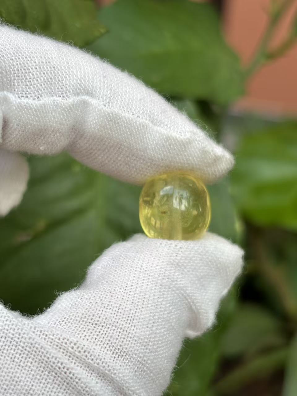 1697天然蜜蜡琥珀净水老型墩子12.3x11.6mm