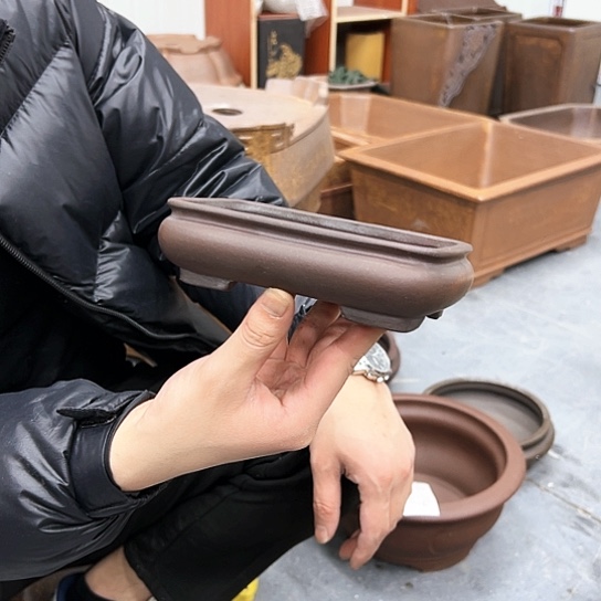 红陶紫砂花盆里放的