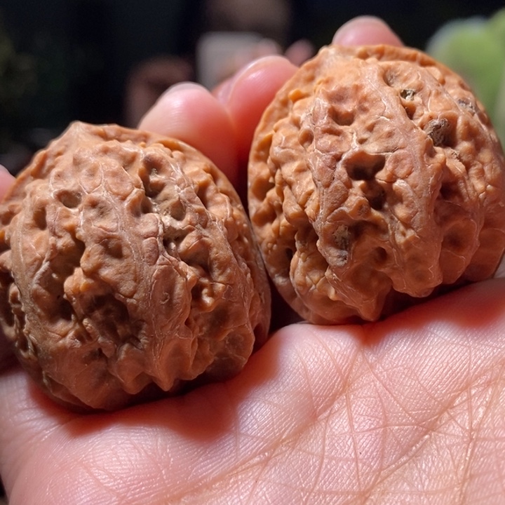 文玩核桃把件东北楸子小路 129