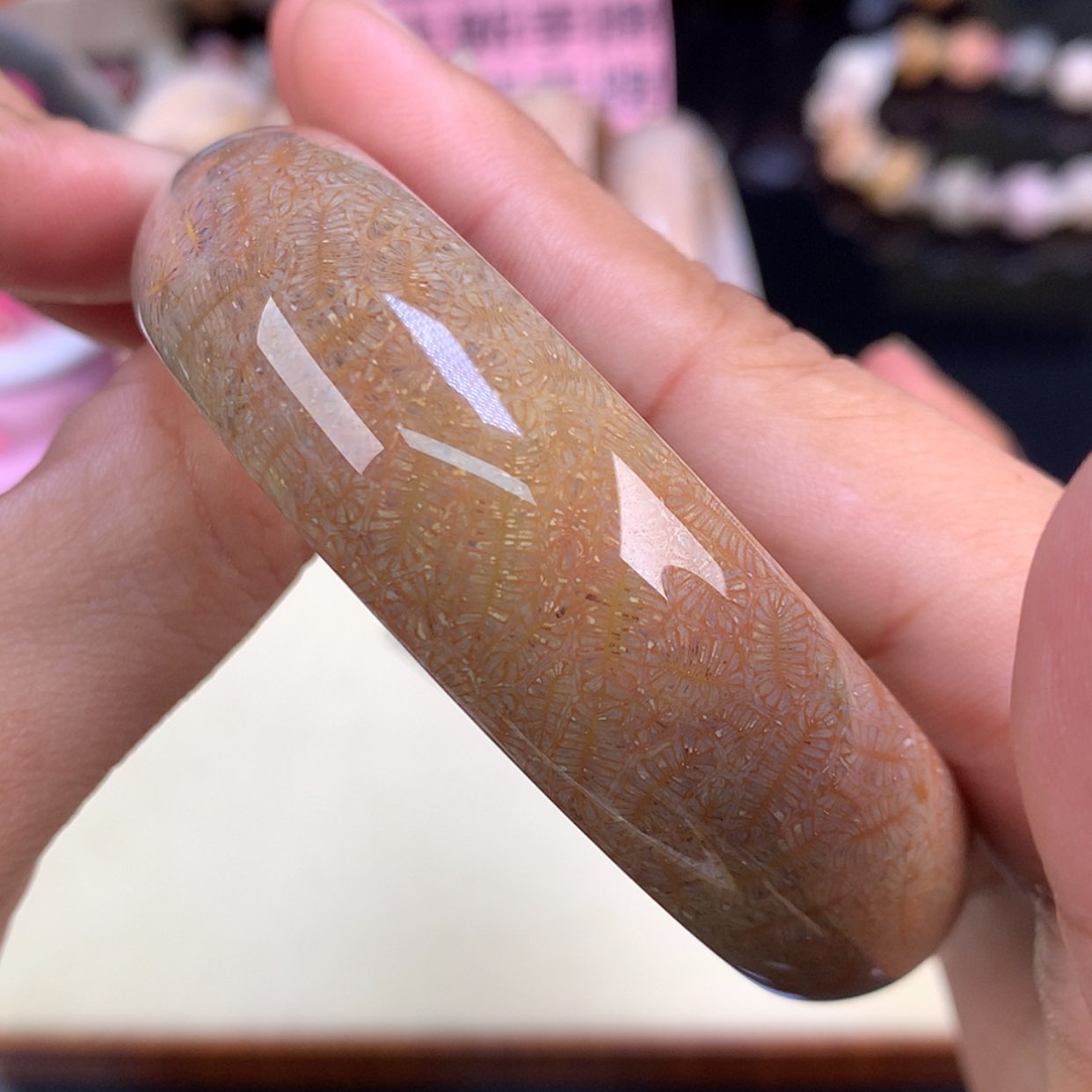 【闪购商品】颈饰未镶嵌硅化珊瑚（珊瑚玉）26号精美虫59圈