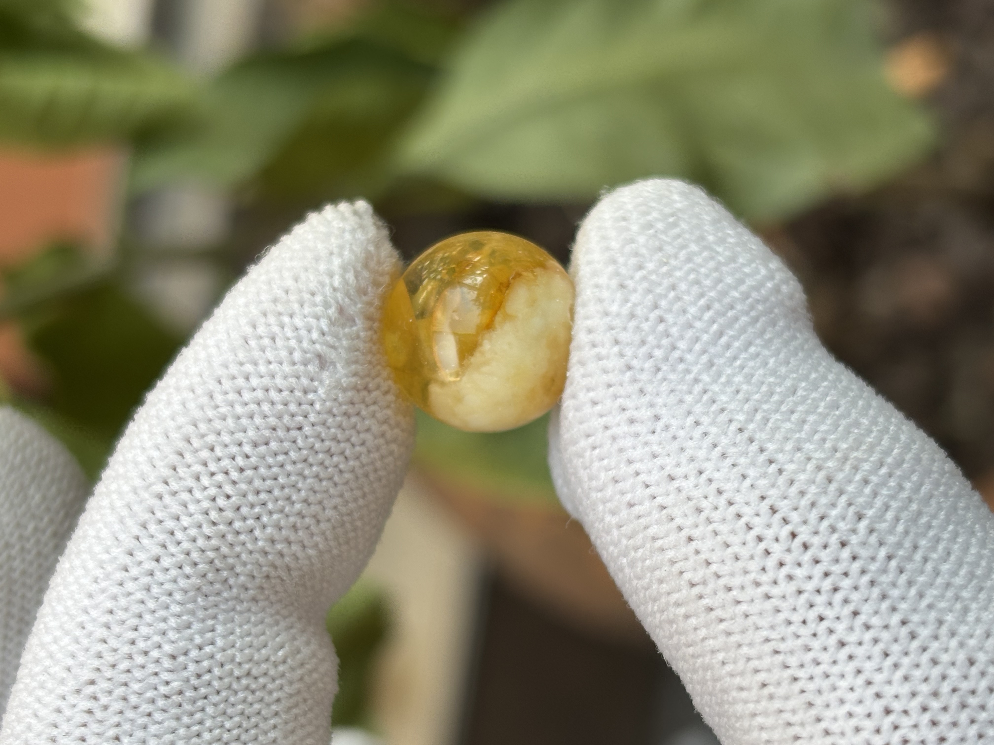3864天然蜜蜡琥珀圆珠12.8MM