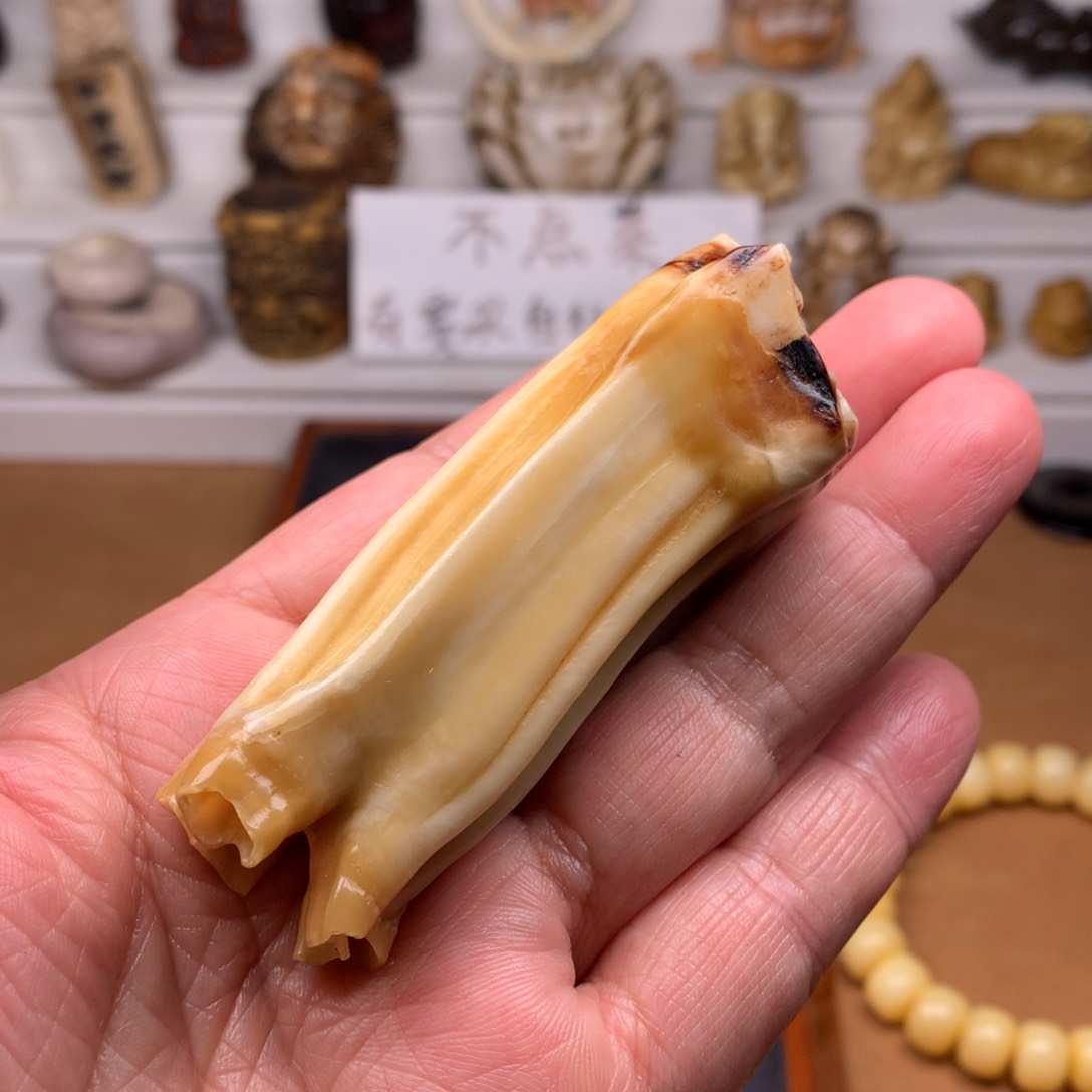 驼骨其他天天都在盘  手把件