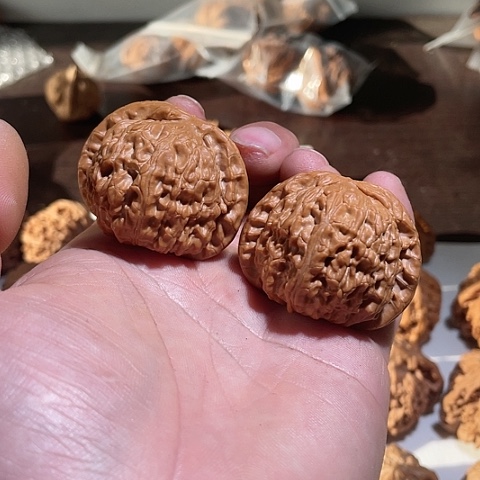 核桃白狮子文玩核桃