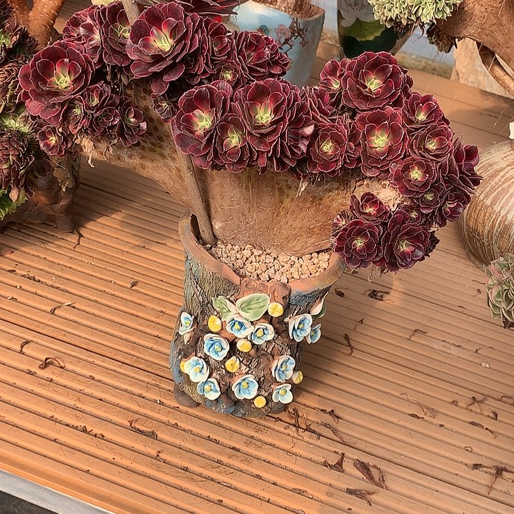 微瑕美杜莎朵朵脱土发货啊
