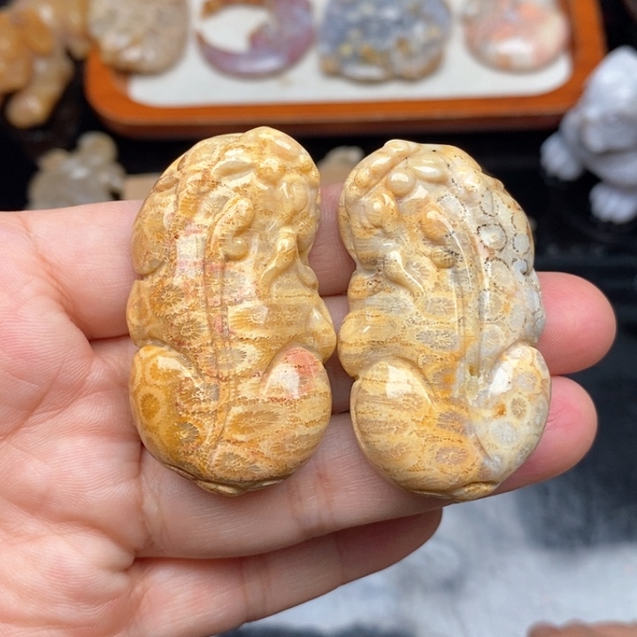 硅化珊瑚（珊瑚玉）颈饰未镶嵌