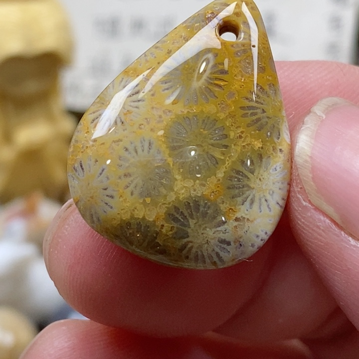 颈饰未镶嵌硅化珊瑚（珊瑚玉）小