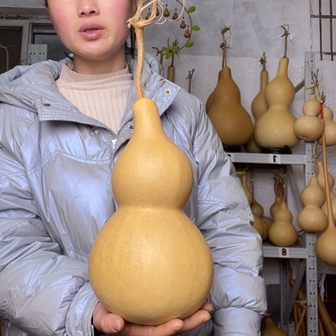 天然植物葫芦文玩