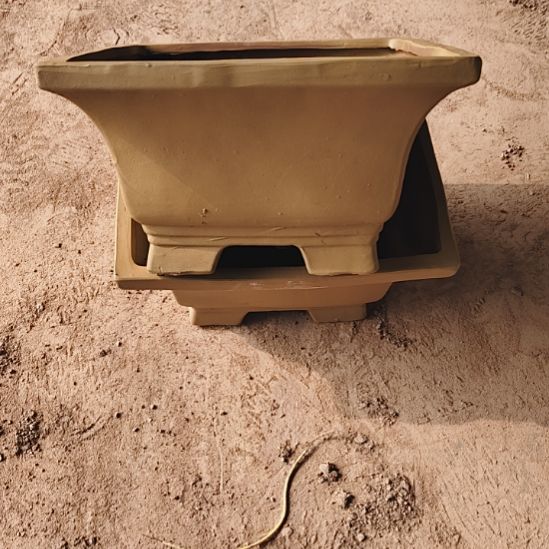 秦***刚四方口28*15 微霞有一个小裂 两个黄