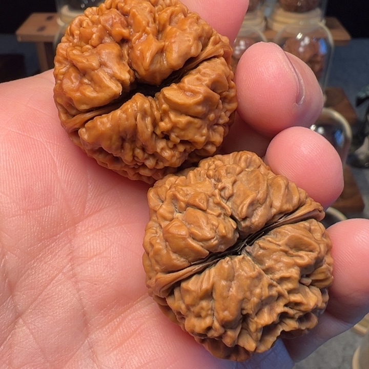 文玩核桃把件舍利子35mm