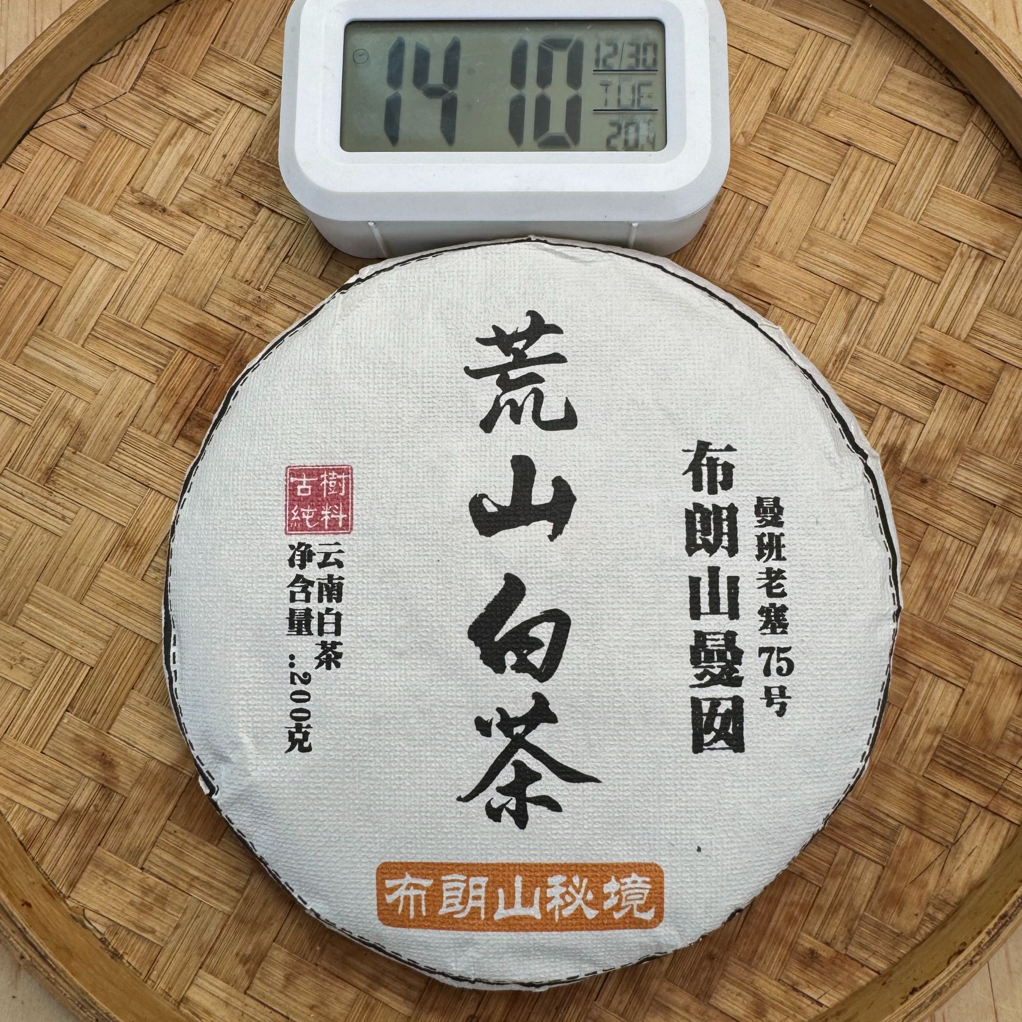 2025年·头春  布朗山曼囡荒山古树白茶 200g饼茶【256号】12-30