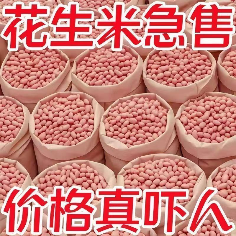 【批发价】新上市现脱壳东北阜新大白沙生花生米新鲜干货家庭厨房