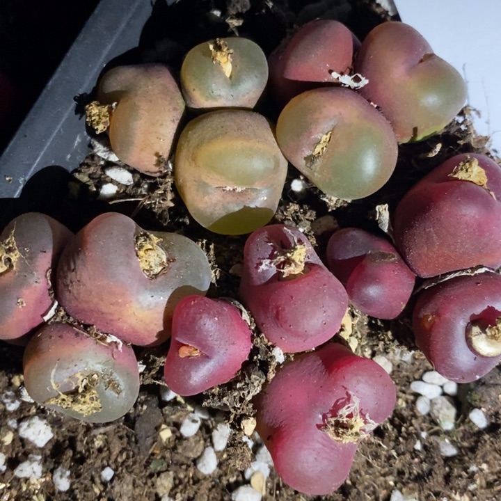 29224一组一组一组