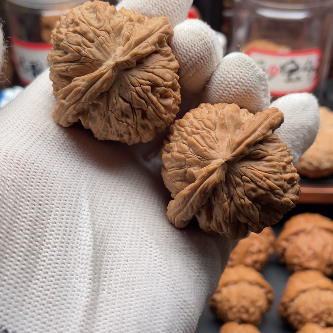 文玩核桃把件白狮子42