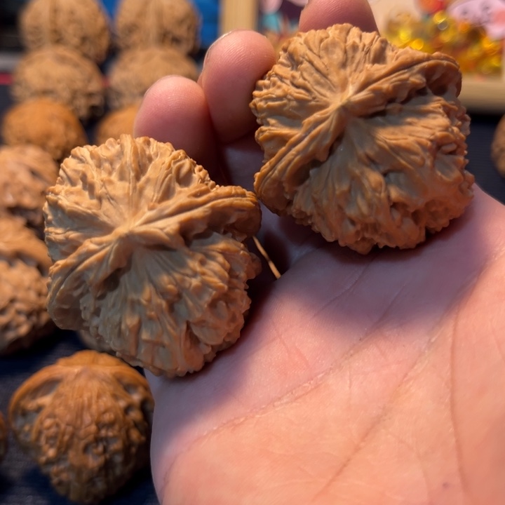 文玩核桃白狮子42