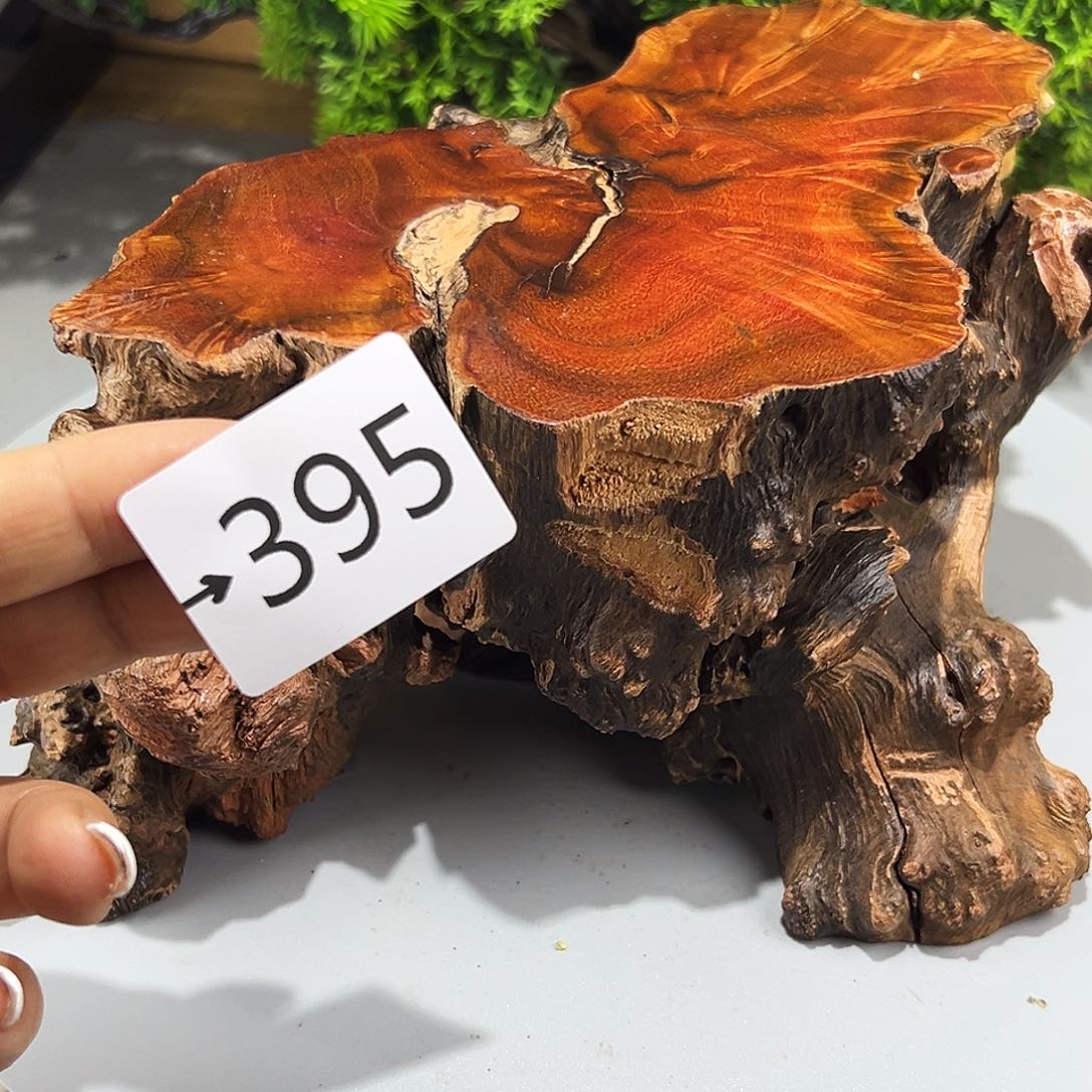 香榧木風**唐火琉璃……