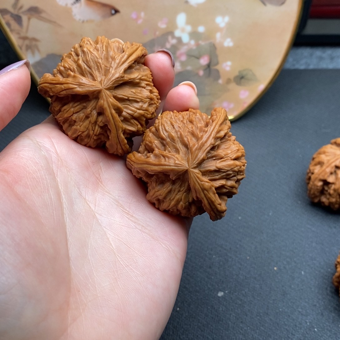 荣*白狮子111111111111