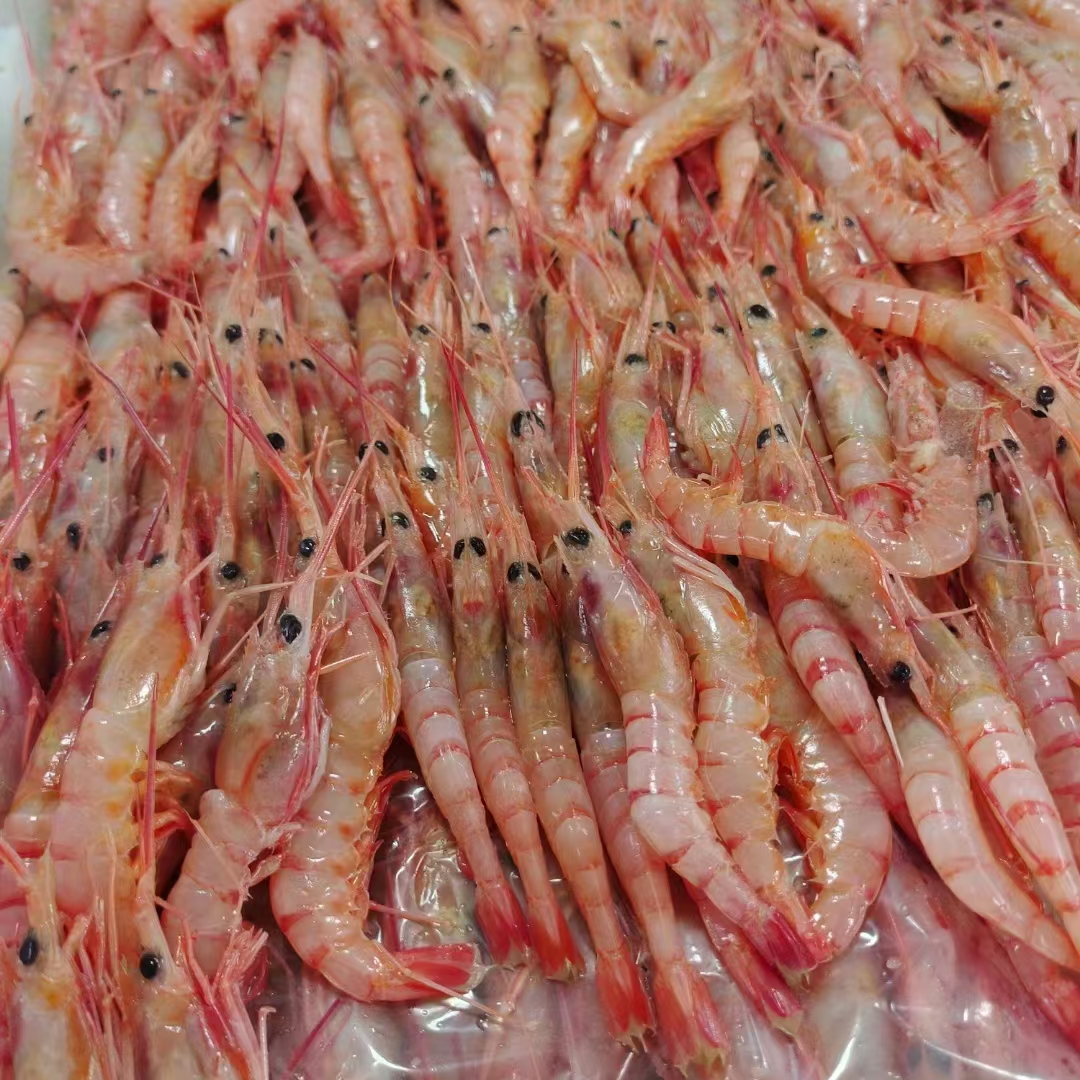 【配送到家】节节红，小红虾，鲜嫩有营养