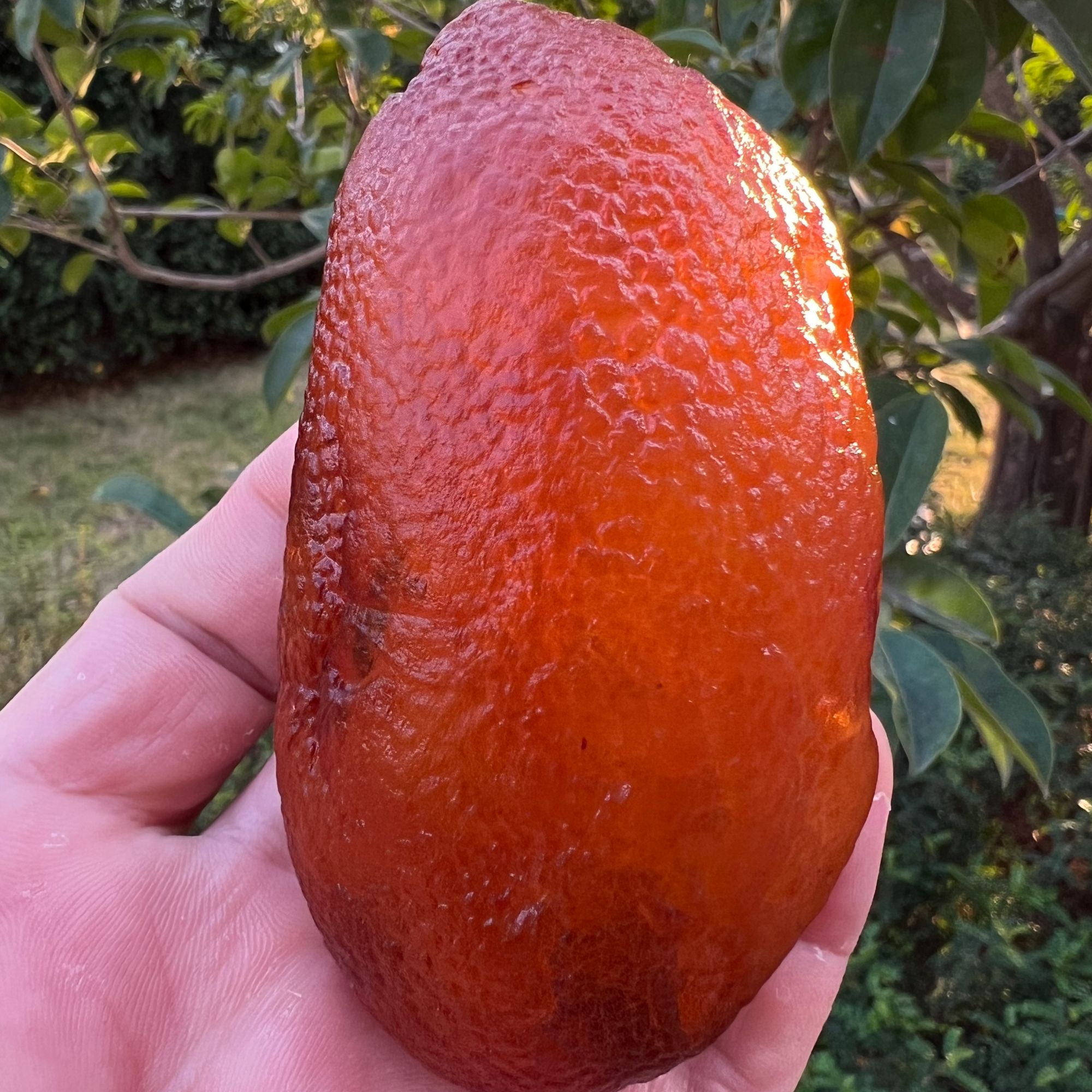 天然原矿蜜蜡原石荔枝皮全皮大手把 器型圆润规整 重117.7克