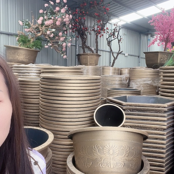 木*～盆景886989855699