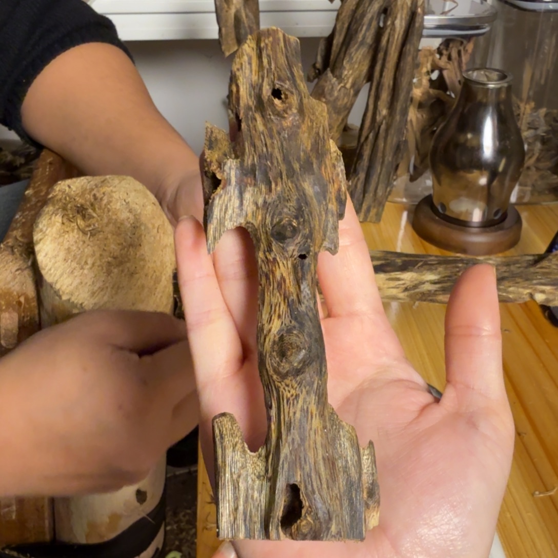 沉香白奇虫漏香26克