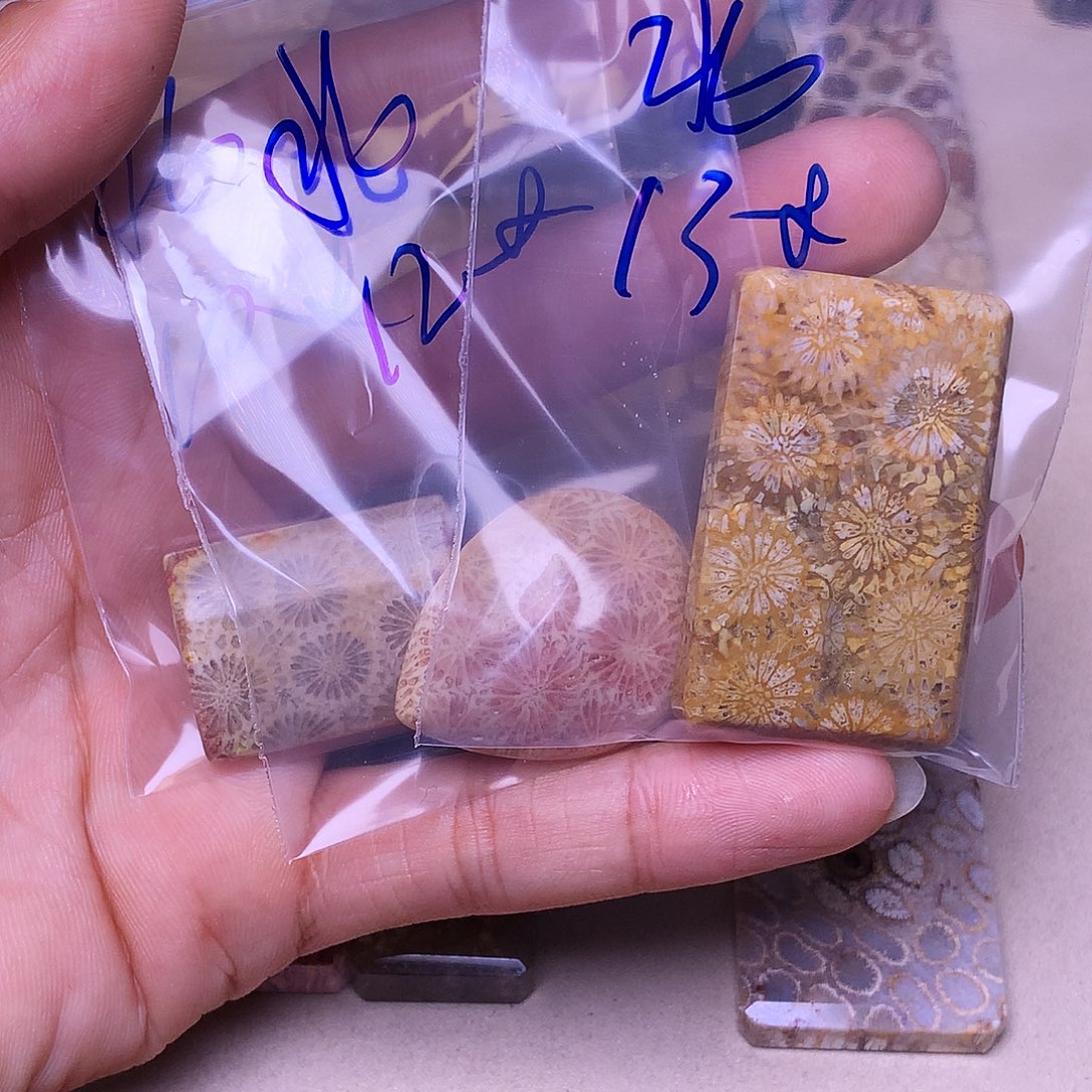北***风硅化玉合金珊瑚玉