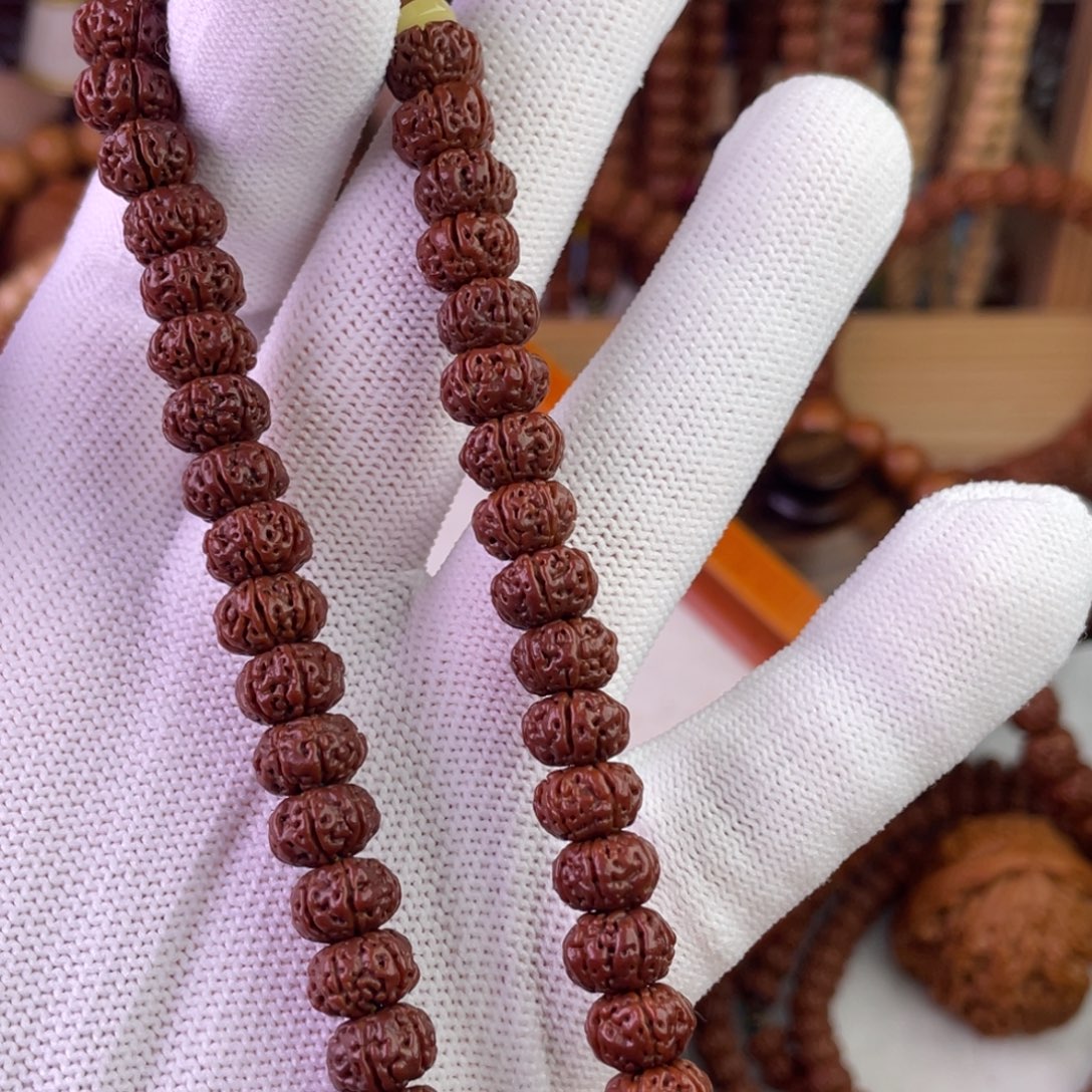 老***）手串金刚菩提啊啊啊啊啊啊啊啊啊啊