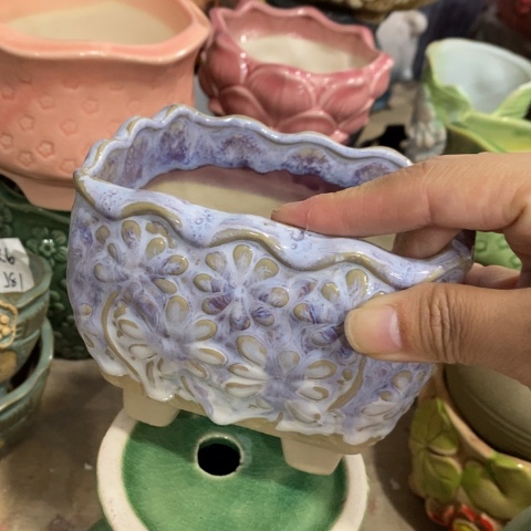 陶瓷95081紫1222333