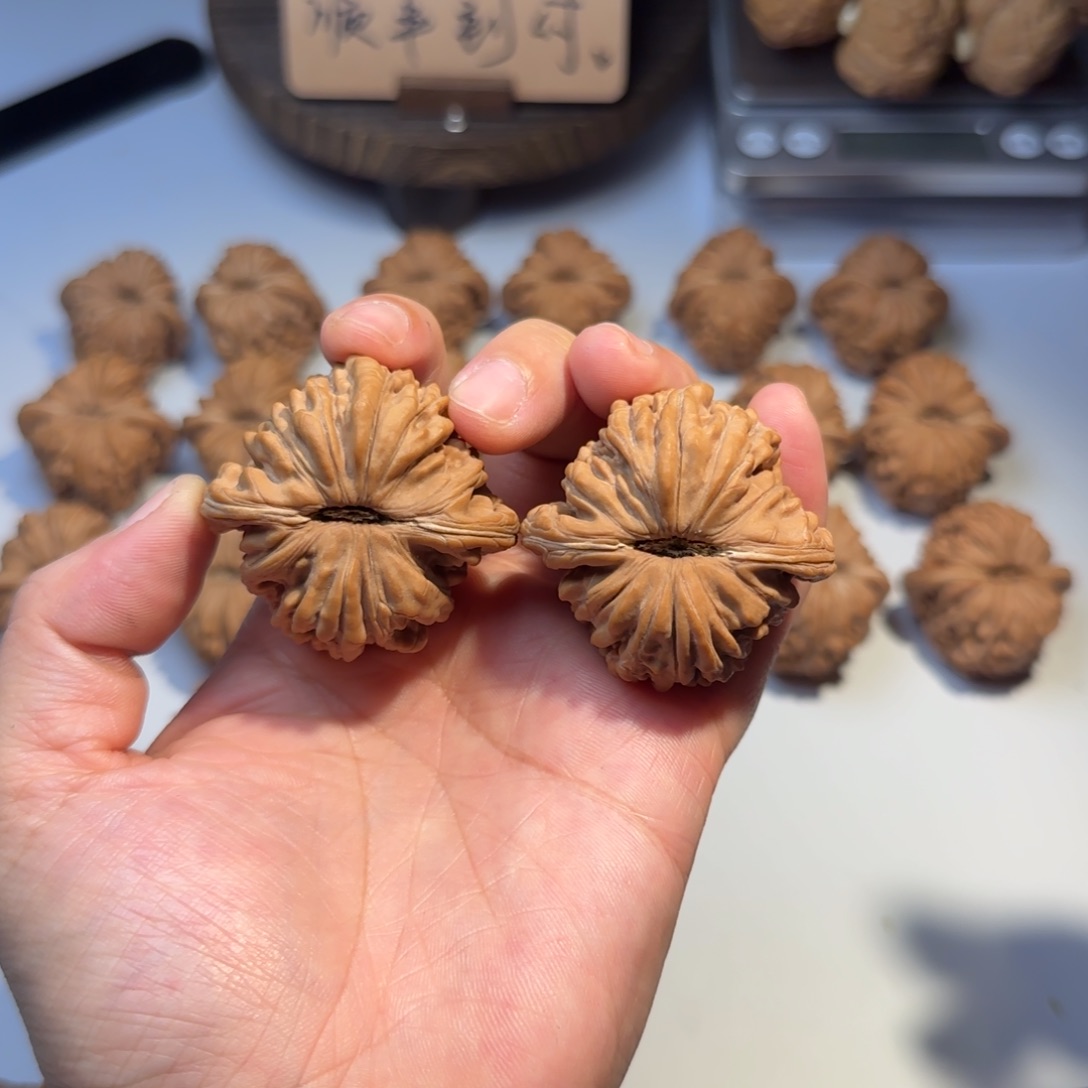 核桃手串/手链狂*狂点大哥43尺楼子